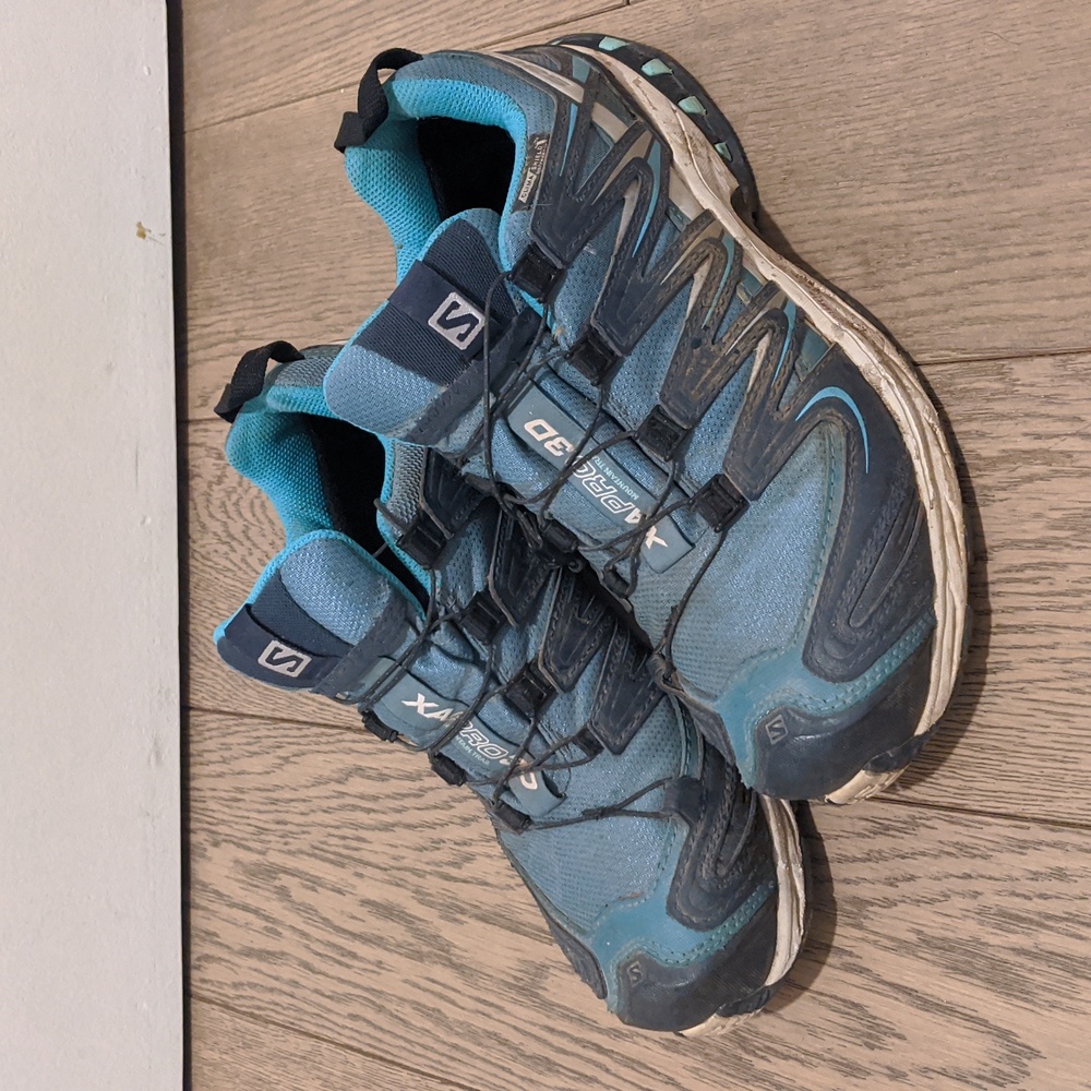 Salomon trail running shoes